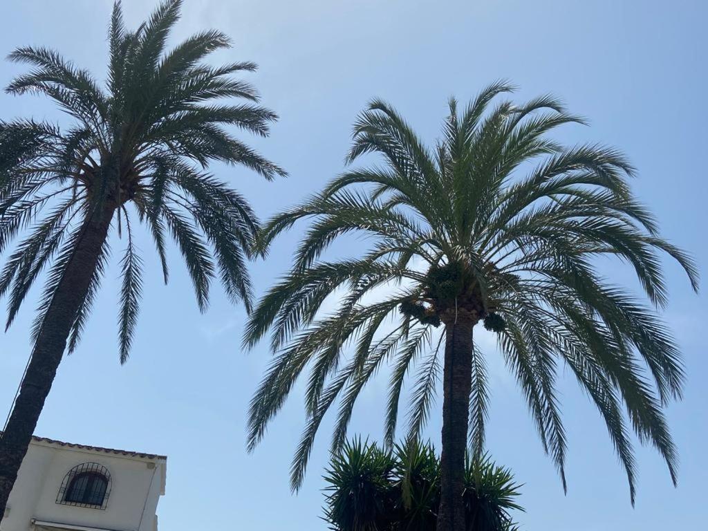 Apartment Urb Oasis Park Ii Denia, Marinas *